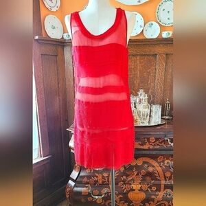 DKNY Scarlet Silk Semi Sheer Dress - US8